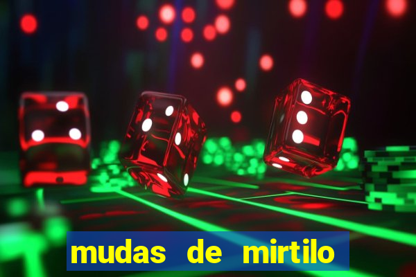 mudas de mirtilo em porto alegre